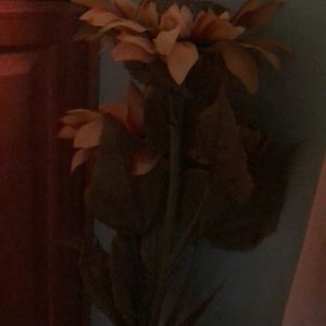 Meet your Posher, Eunide